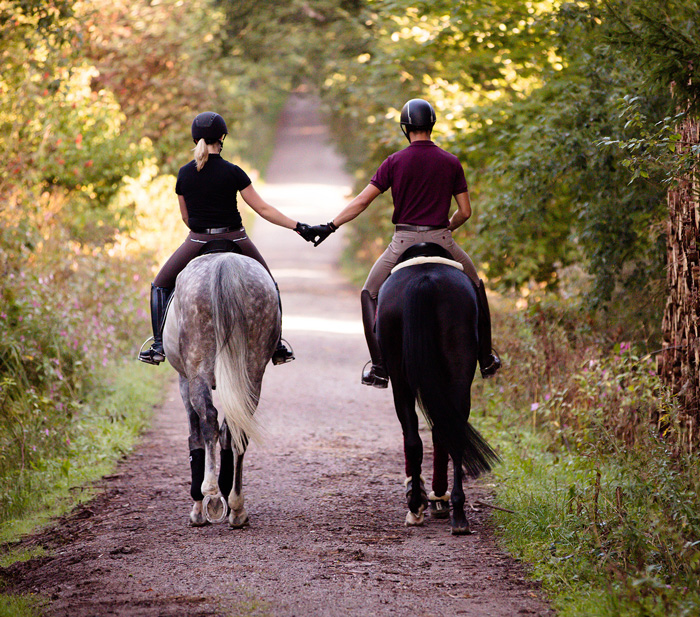 Pferdeausbildung_Equiunit_Reitunterricht_2